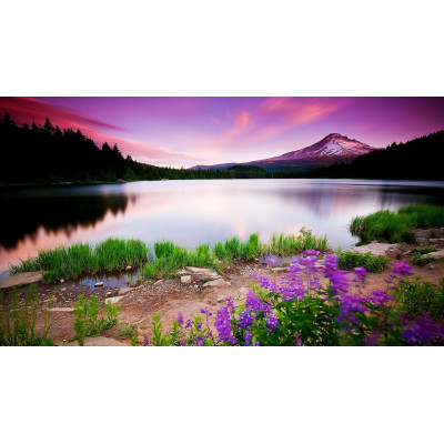 蘆洲專業按摩首選｜全方位呵護每一種需求